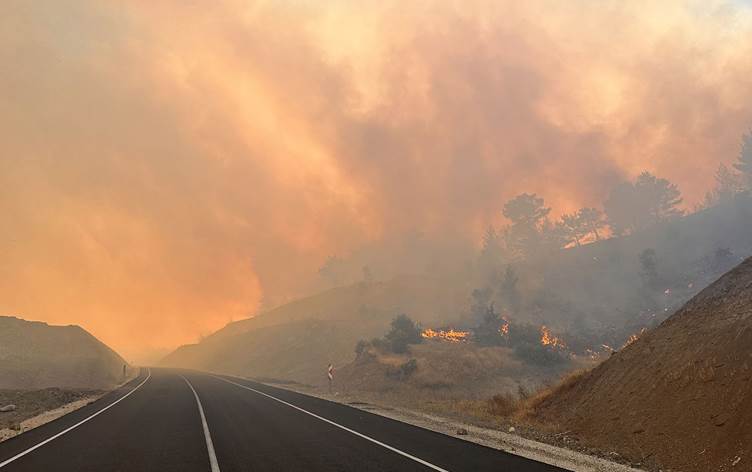 Թուրքիայում նորից անտառային հրդեհ է