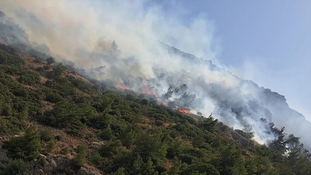 Թուրքիայի առաջատար տուրիստական շրջանում 200 հեկտար անտառ է վառվում