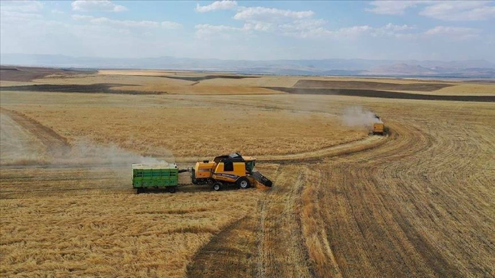 Թուրքիան և ԱՄԷ-ն կհամագործակցեն գյուղատնտեսության ոլորտում