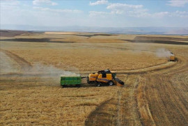Թուրքիան և ԱՄԷ-ն կհամագործակցեն գյուղատնտեսության ոլորտում