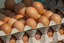 Турция поставила в РФ вторую партию яиц
