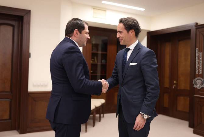 Papikyan ile Colomina, Ermenistan-NATO ortaklığını görüştü