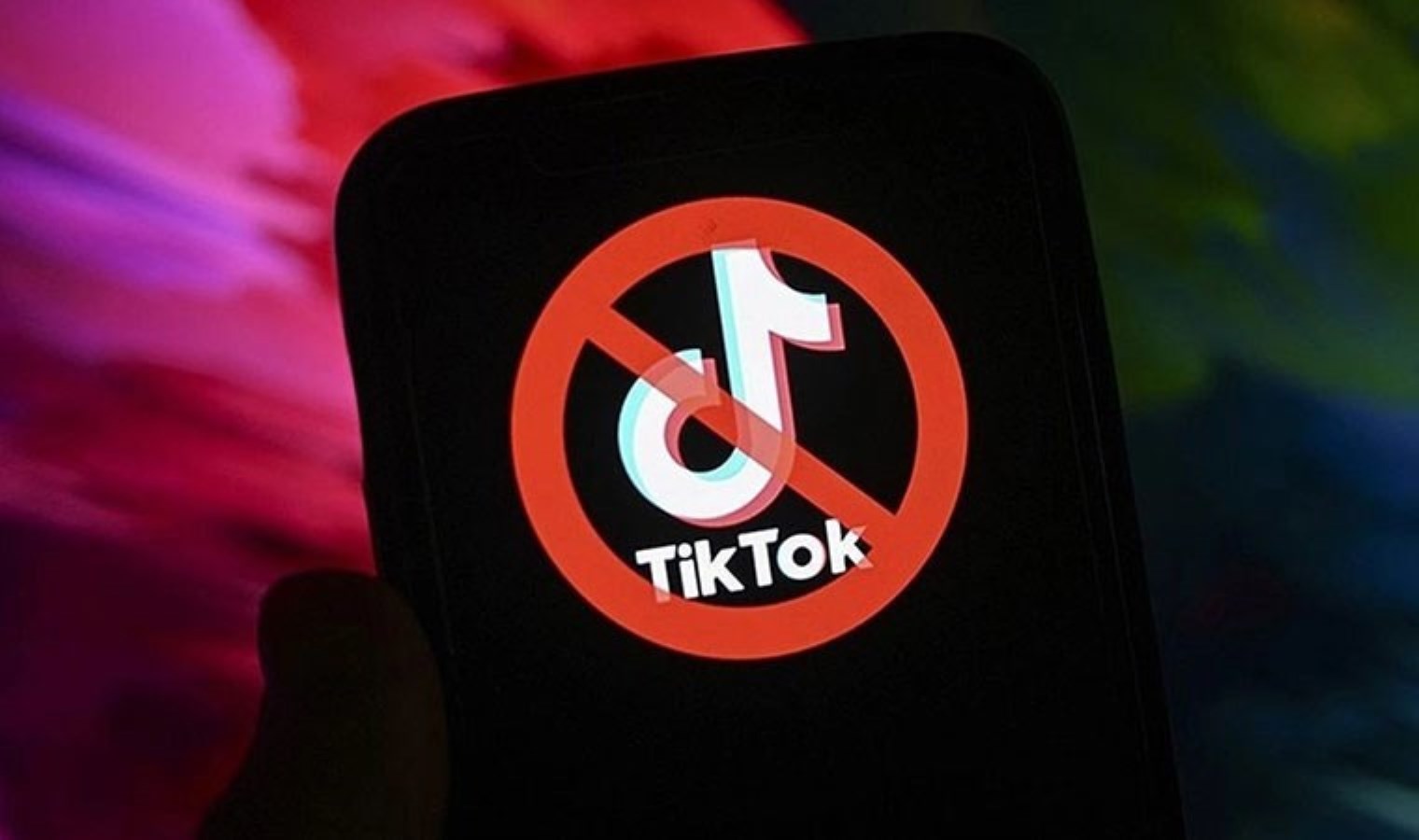 Թուրքիան մտադիր է արգելափակել TikTok-ը երկրում